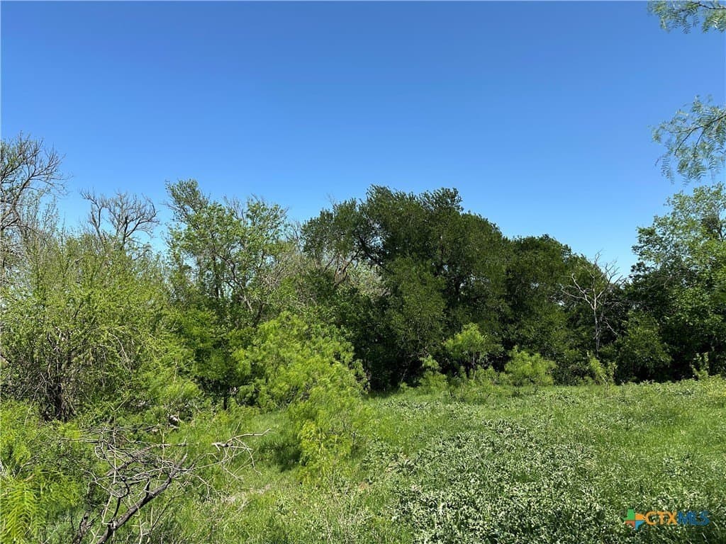 64.08 acres in Bell County - photo 23