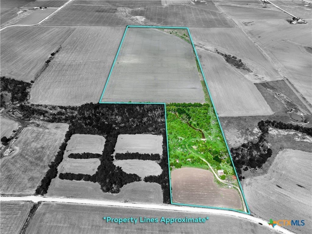 64.08 acres in Bell County gallery image 2