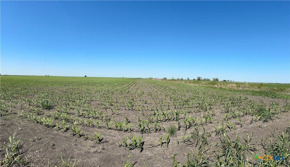 64.08 acres in Bell County - photo 18