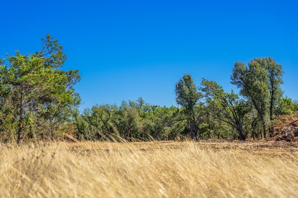 17.3 acres in Gillespie County gallery image 3