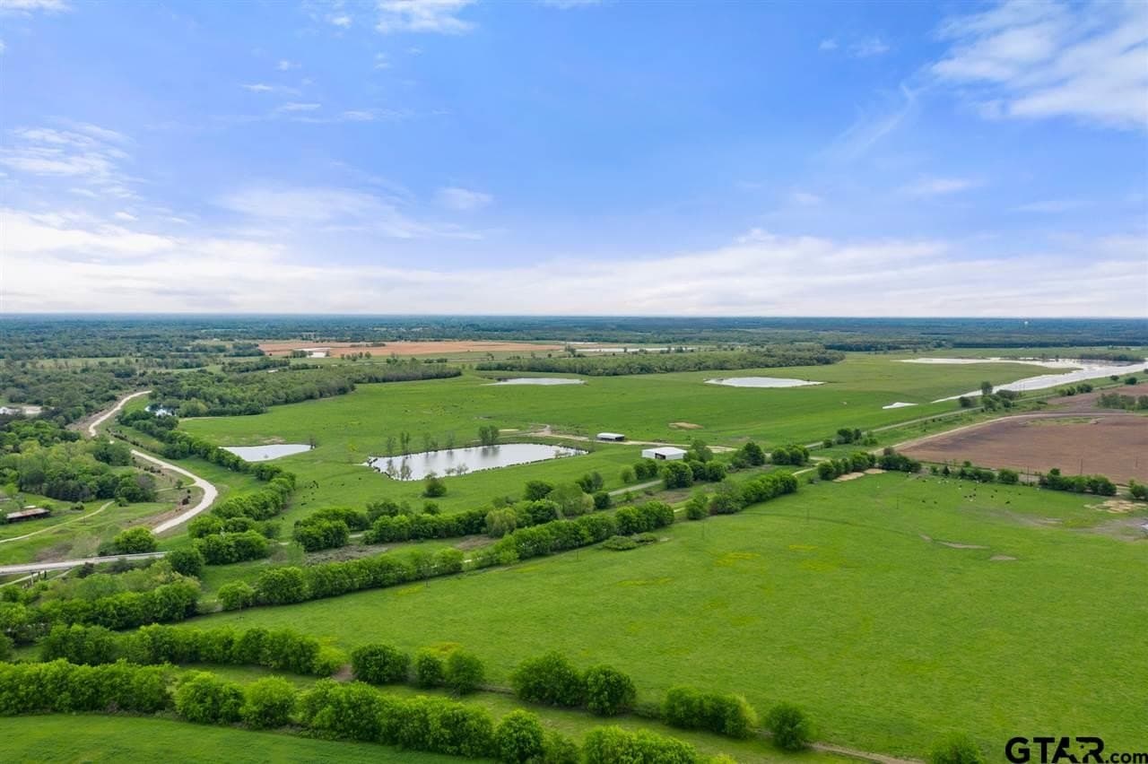 250.5 acres in Titus County gallery image 4