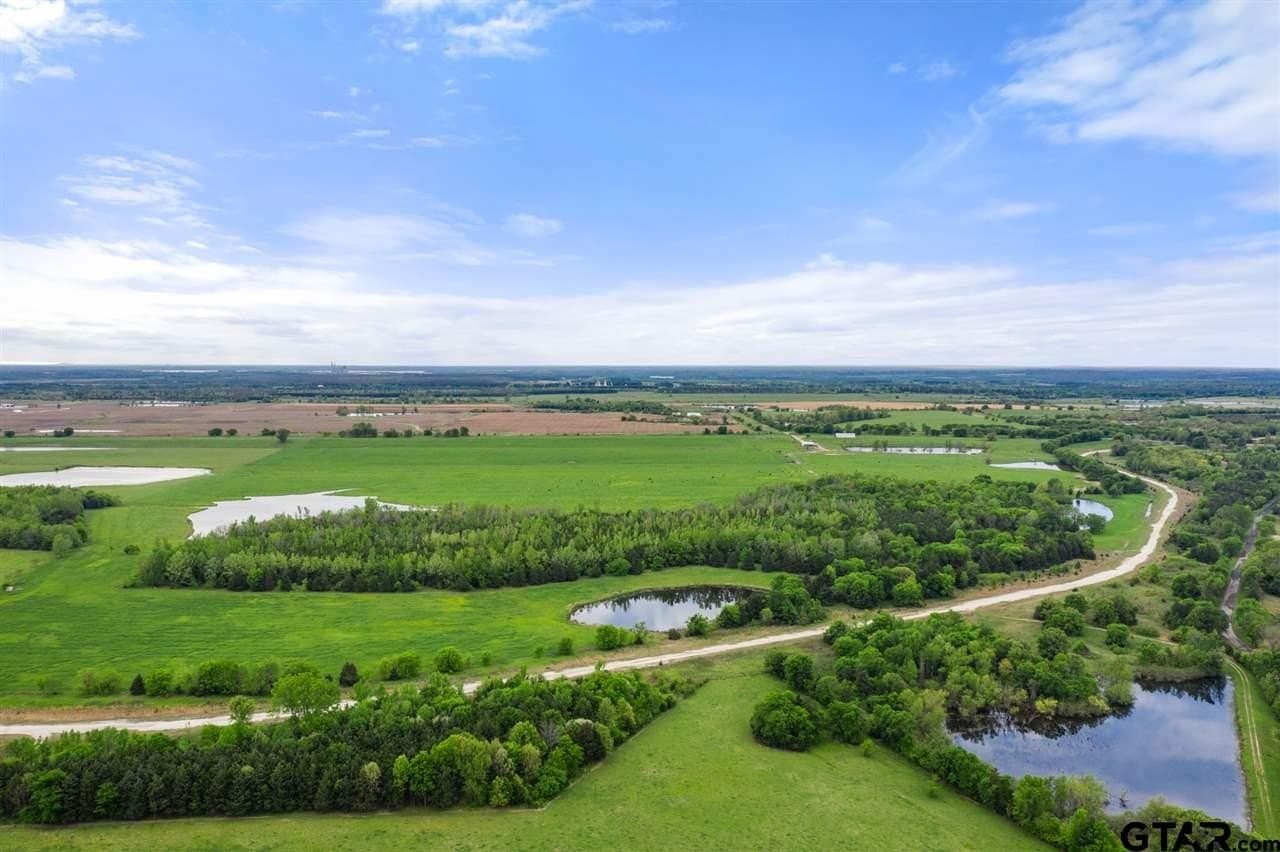 250.5 acres in Titus County gallery image 2