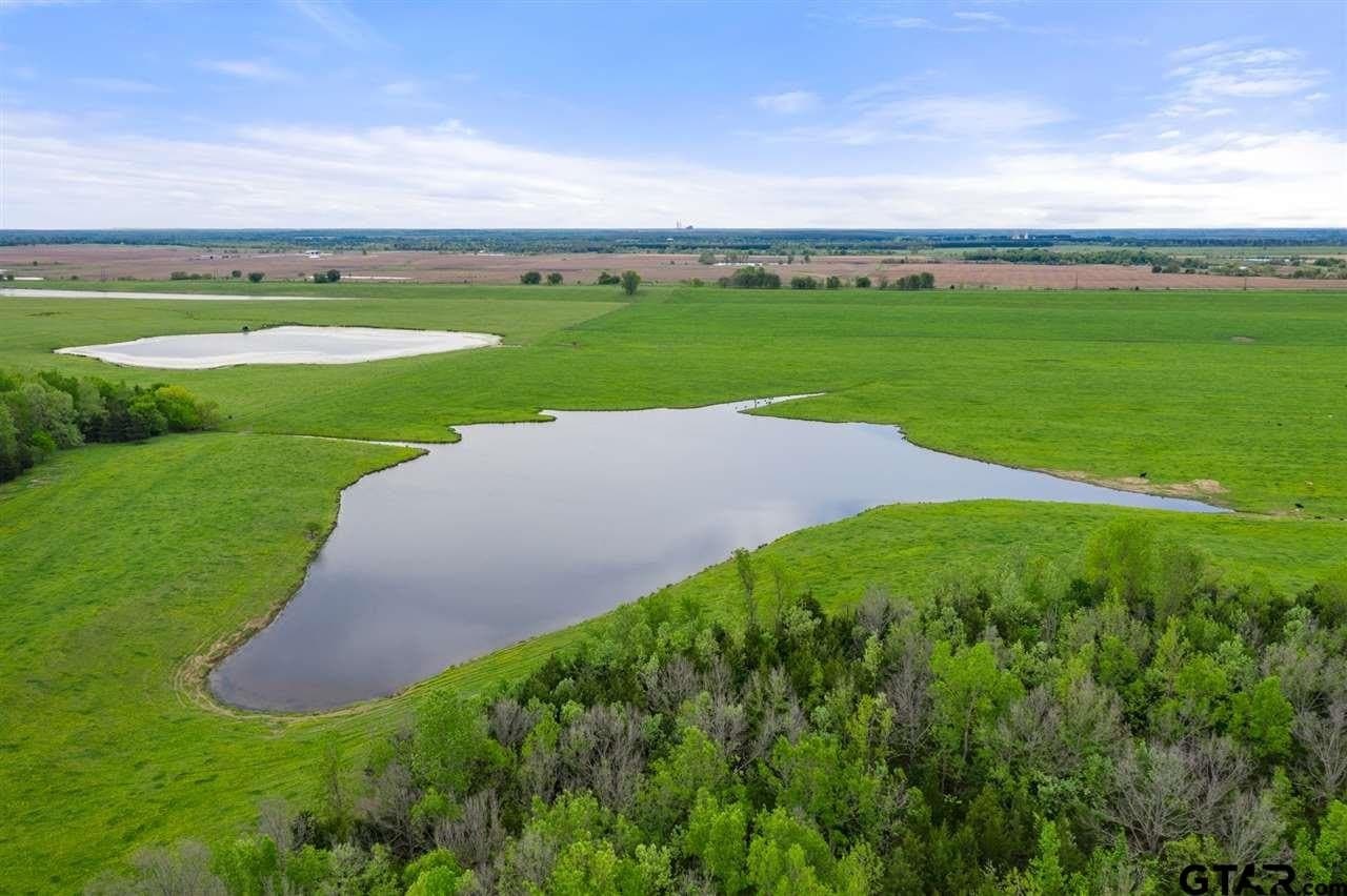 250.5 acres in Titus County gallery image 3