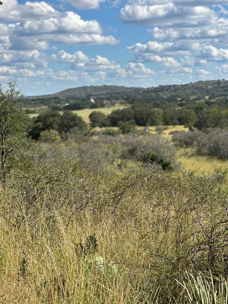 96 acres in Mason County gallery image 4