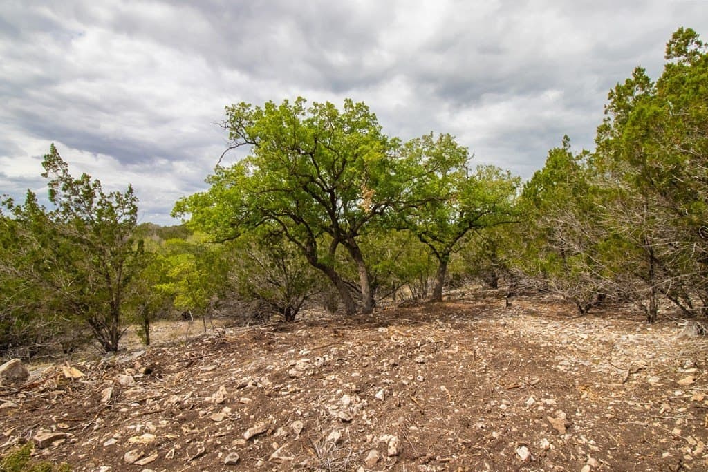 18.49 acres in Kerr County featured view