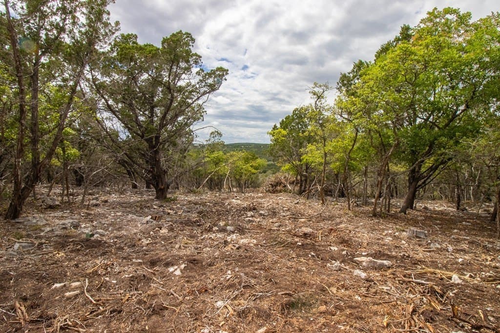 18.49 acres in Kerr County gallery image 4