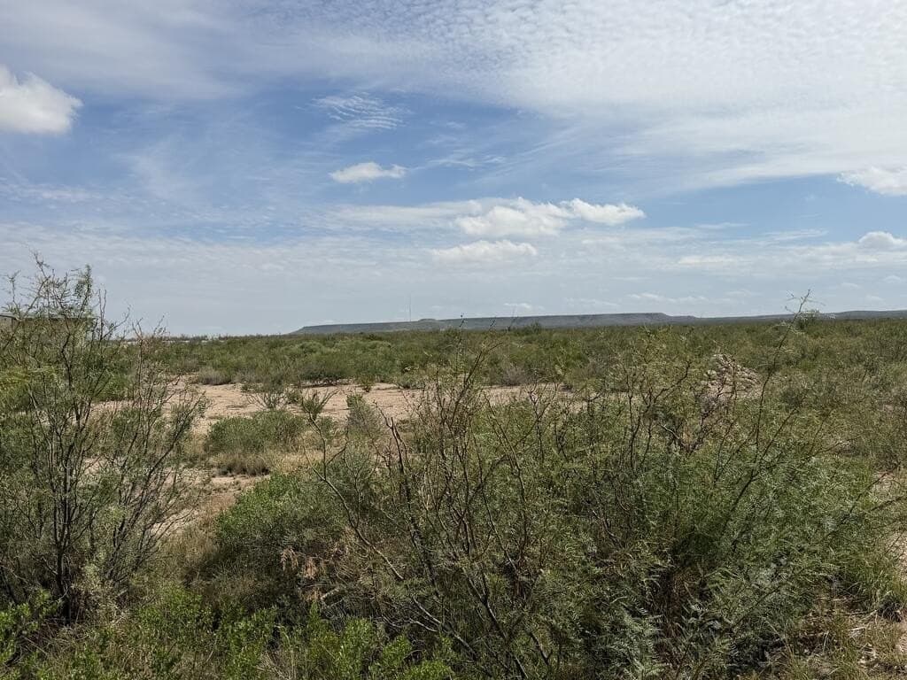 10.59 acres in Pecos County - photo 2