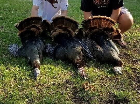 64.8 acres in Bosque County featured view