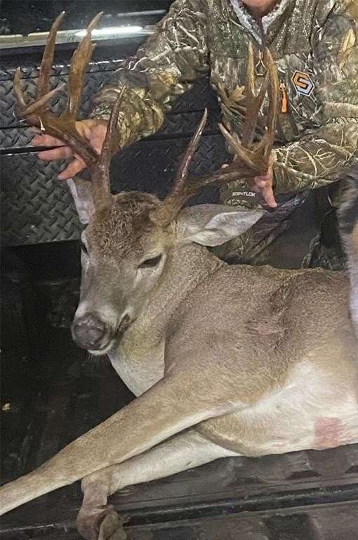 64.8 acres in Bosque County gallery image 4