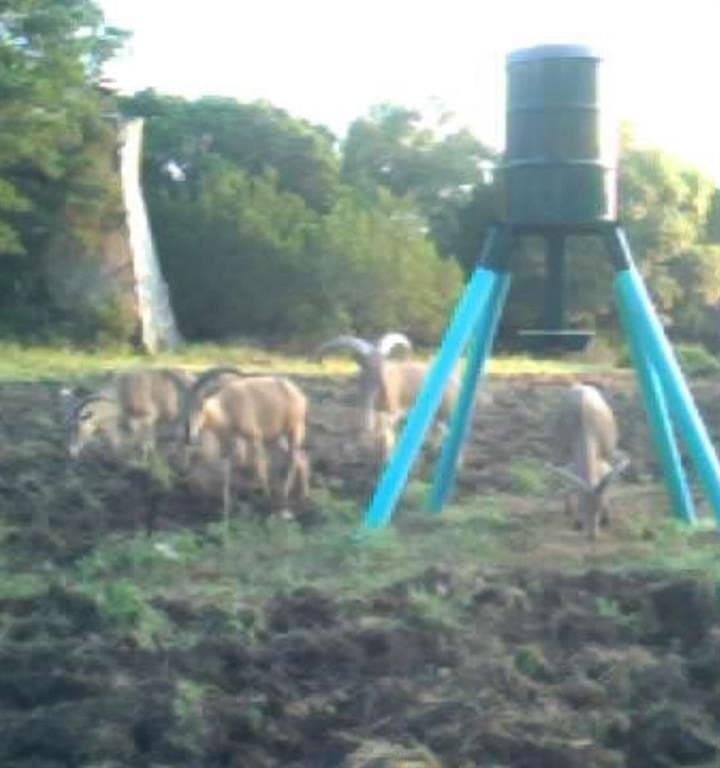 64.8 acres in Bosque County gallery image 3