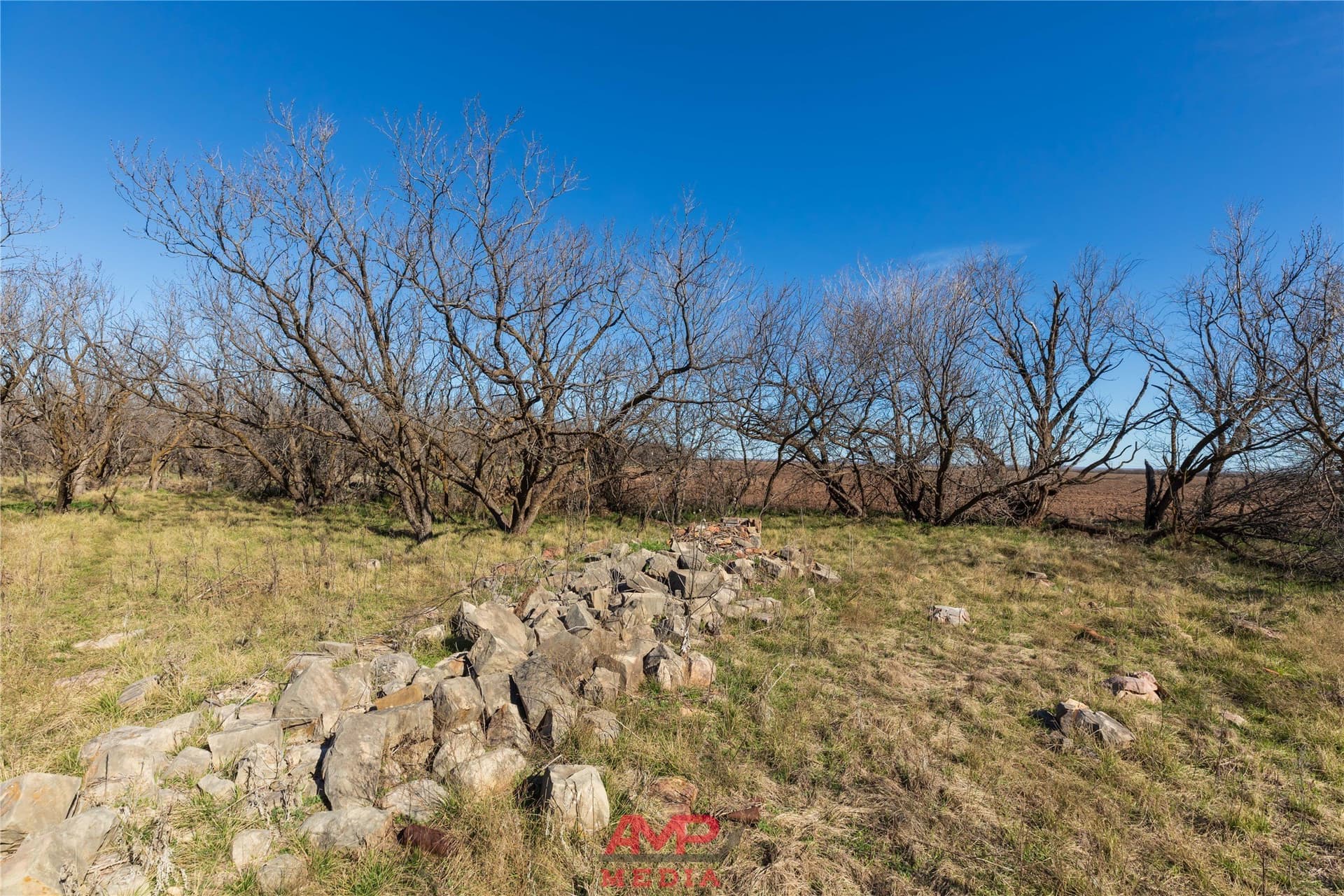 186.3 acres in Jones County - photo 7