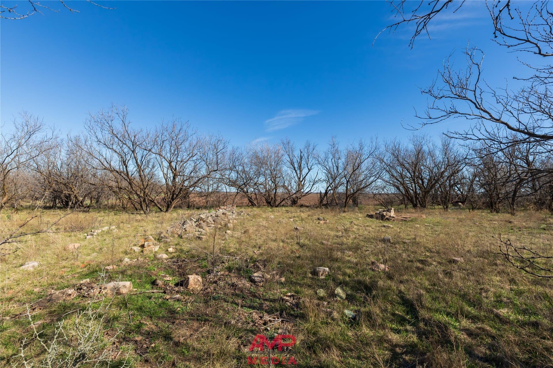 186.3 acres in Jones County - photo 4