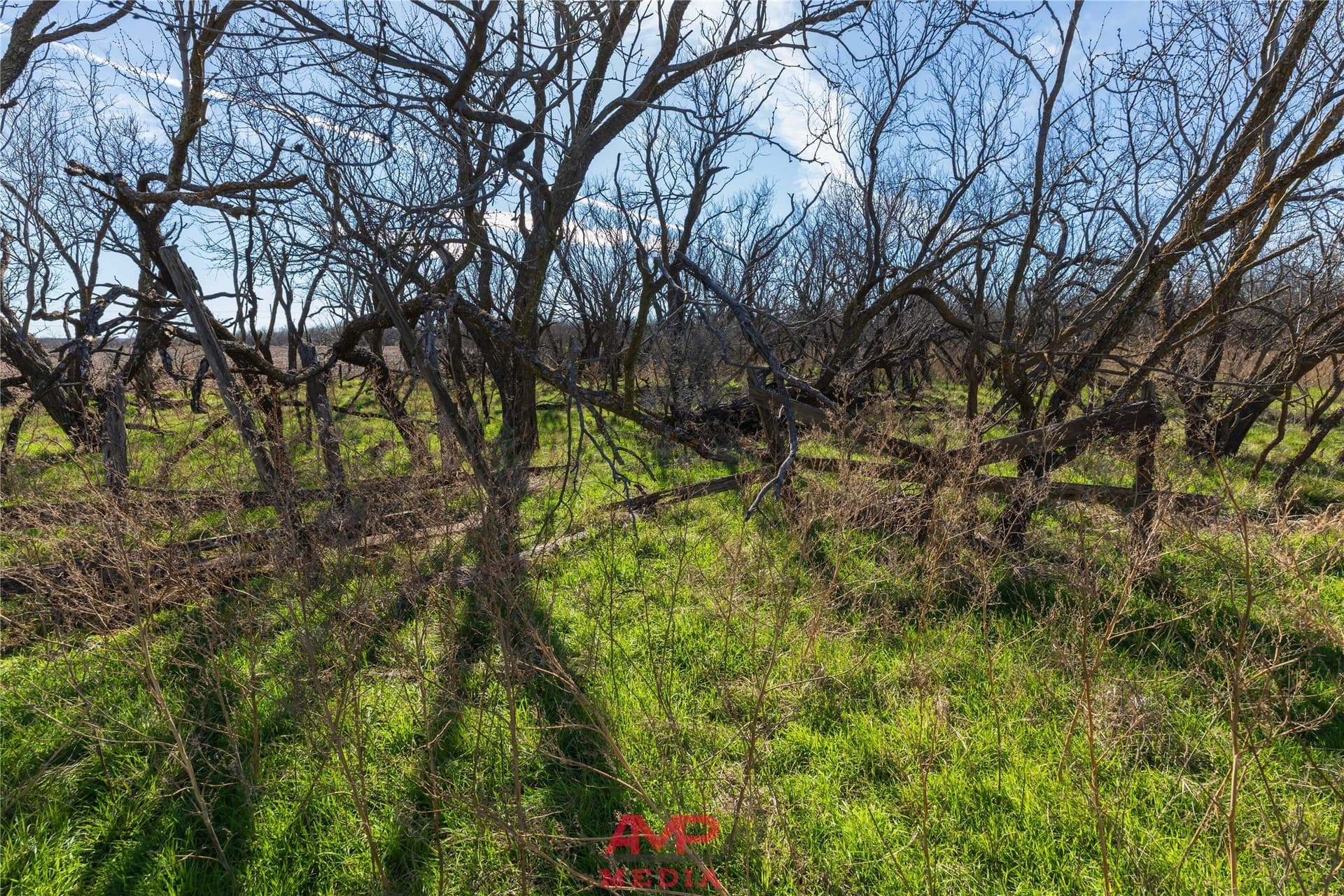 186.3 acres in Jones County - photo 14