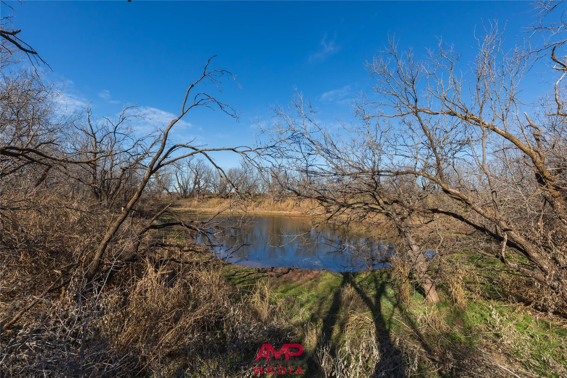 186.3 acres in Jones County - photo 24