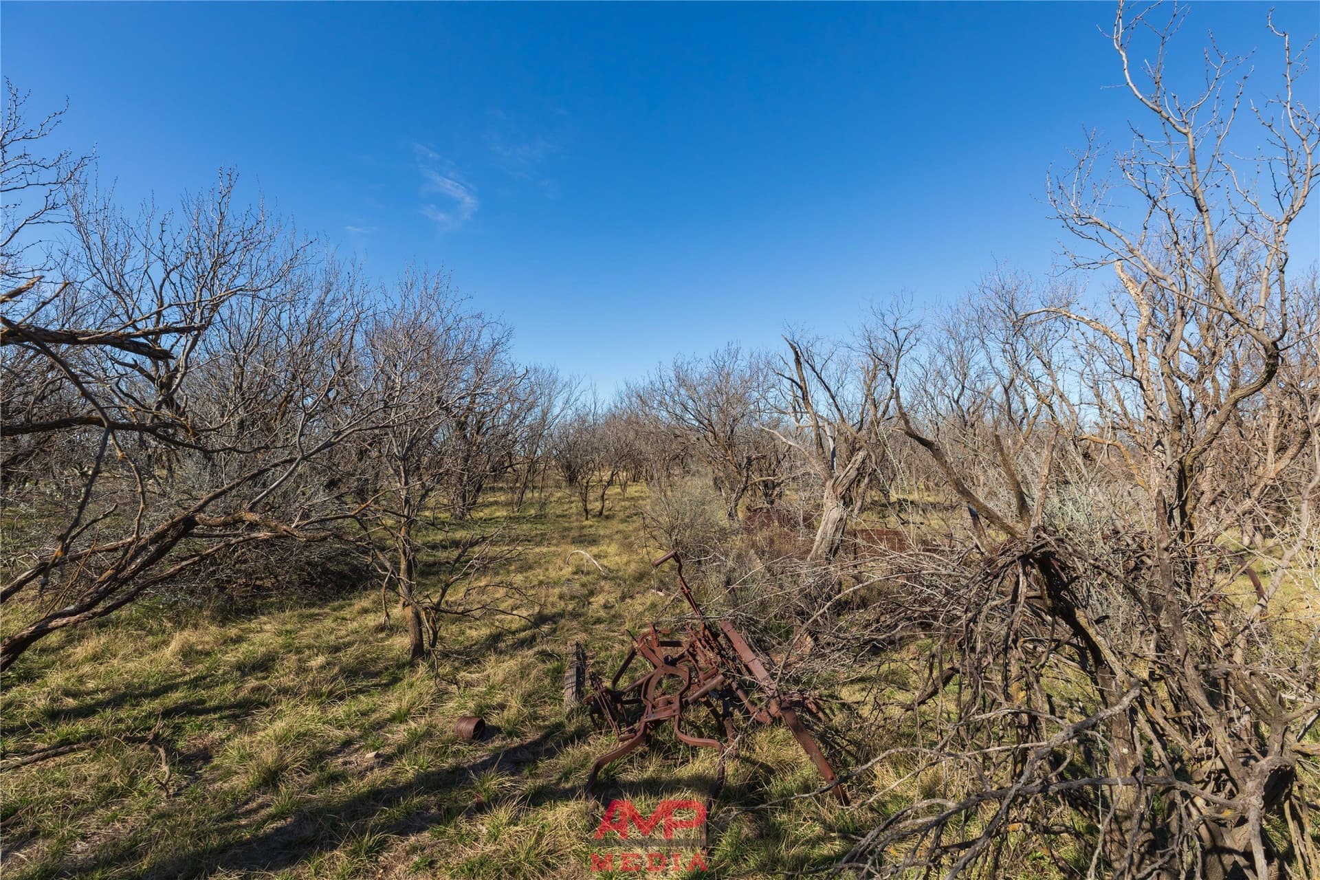 186.3 acres in Jones County - photo 17