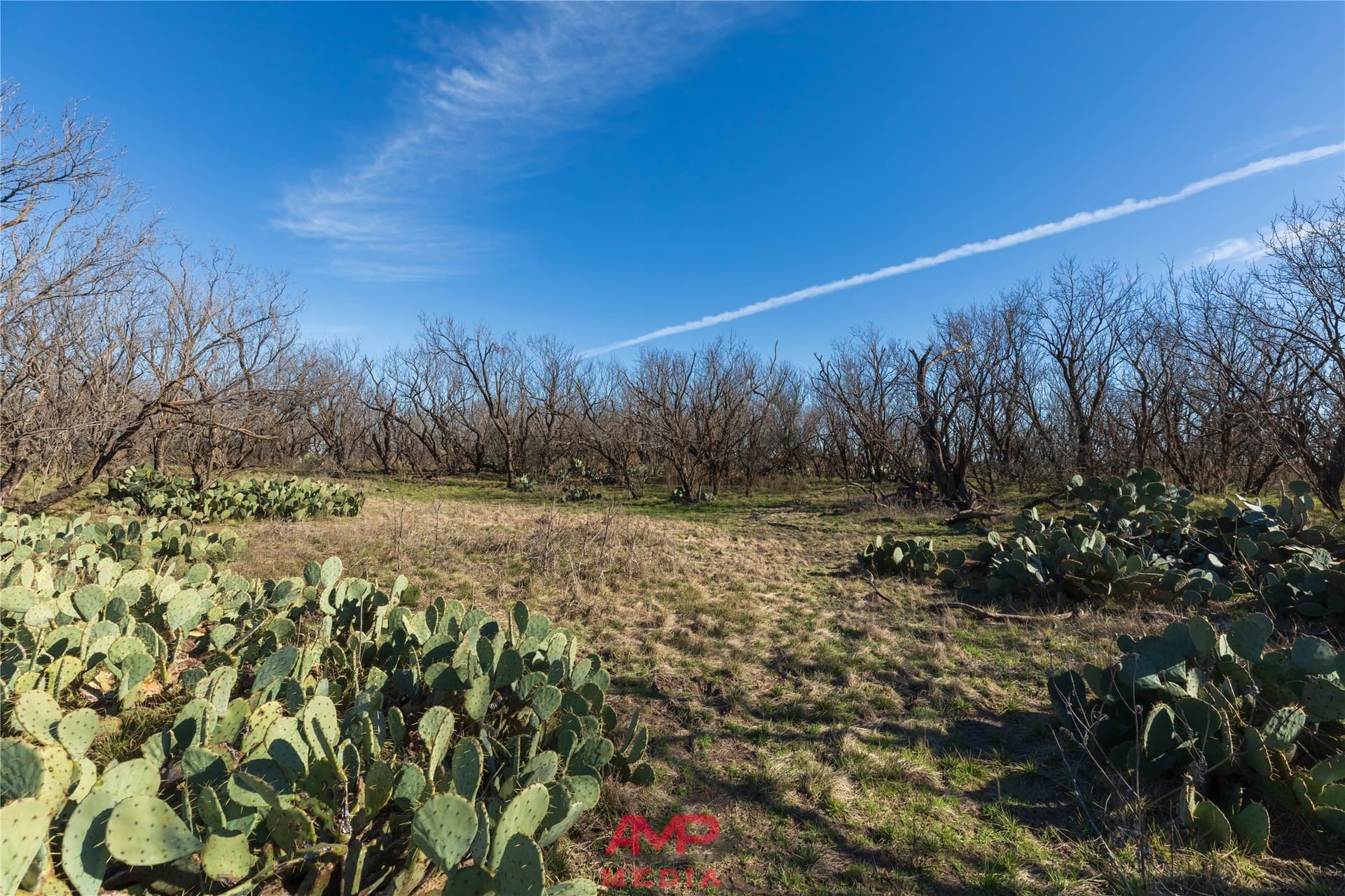 186.3 acres in Jones County - photo 18