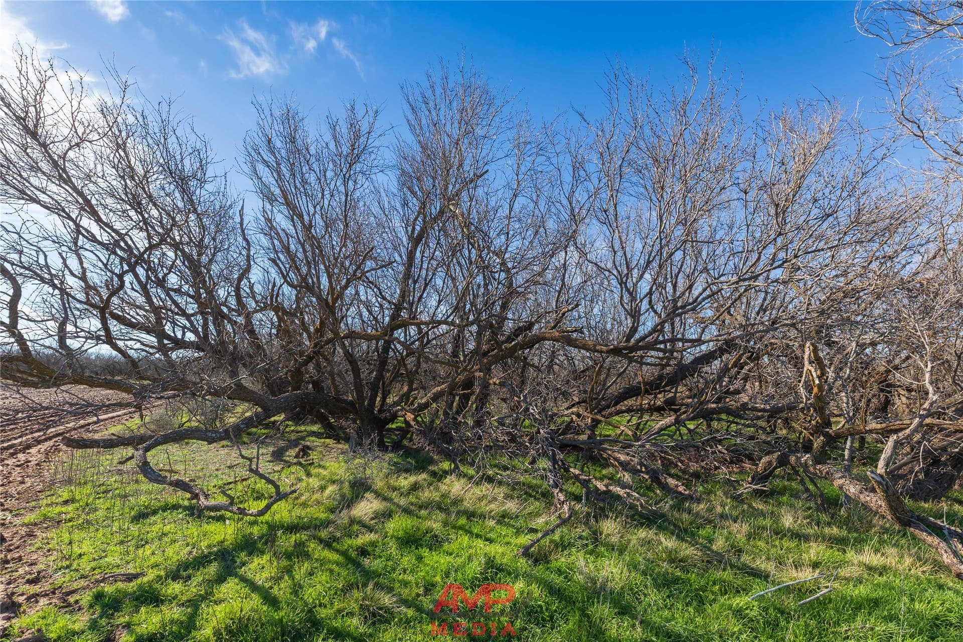 186.3 acres in Jones County - photo 21