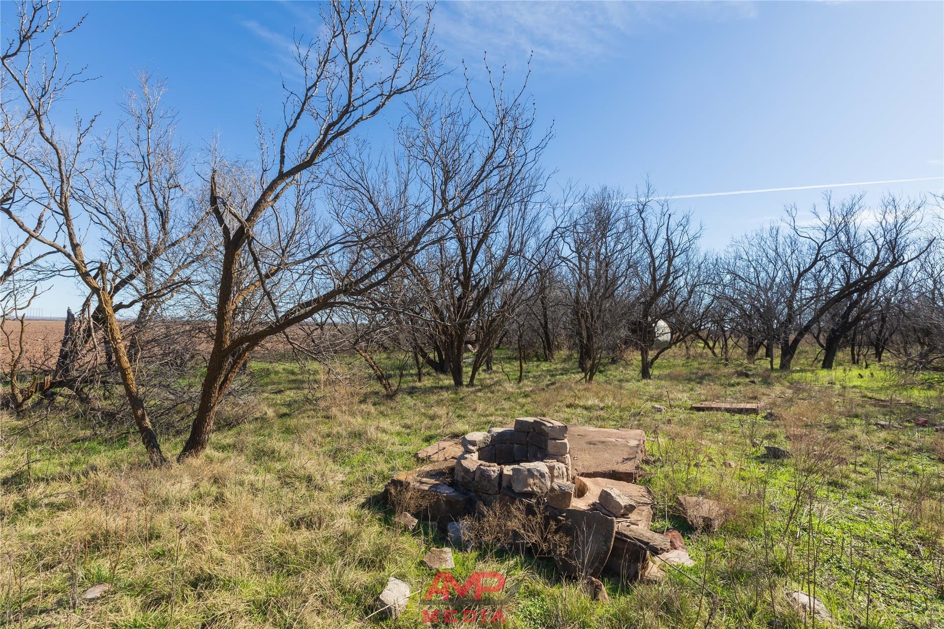 186.3 acres in Jones County - photo 9