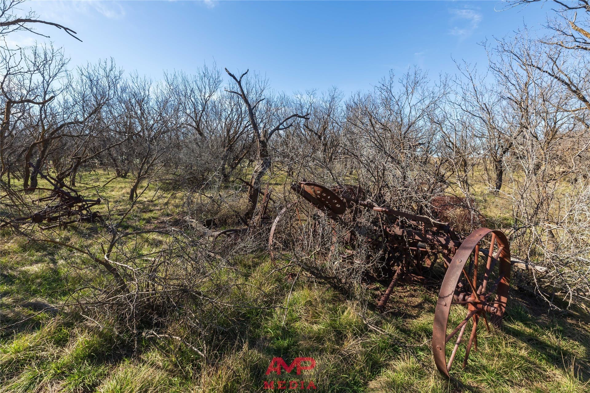 186.3 acres in Jones County - photo 15