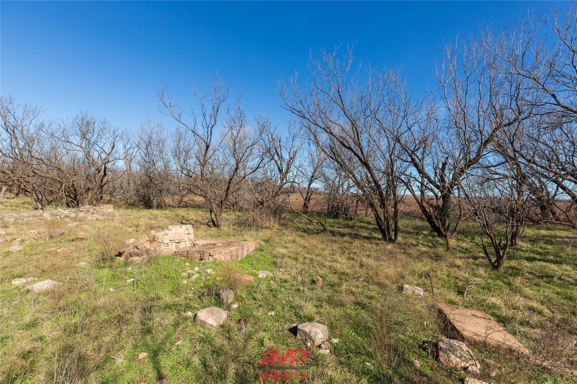 186.3 acres in Jones County - photo 10