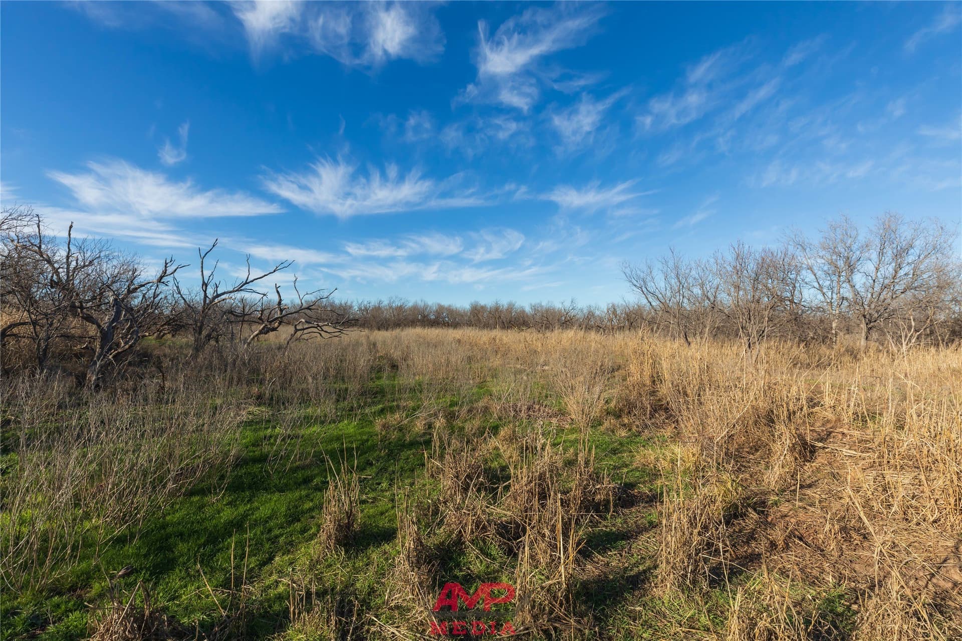 186.3 acres in Jones County - photo 33