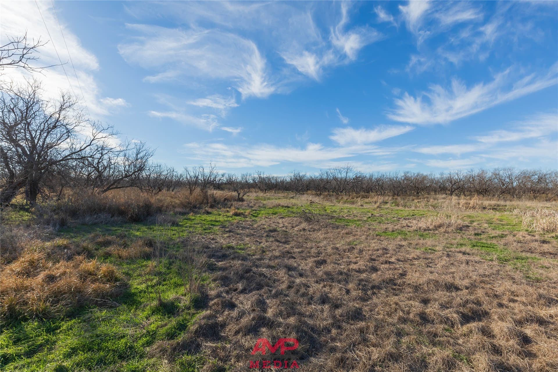 186.3 acres in Jones County - photo 28
