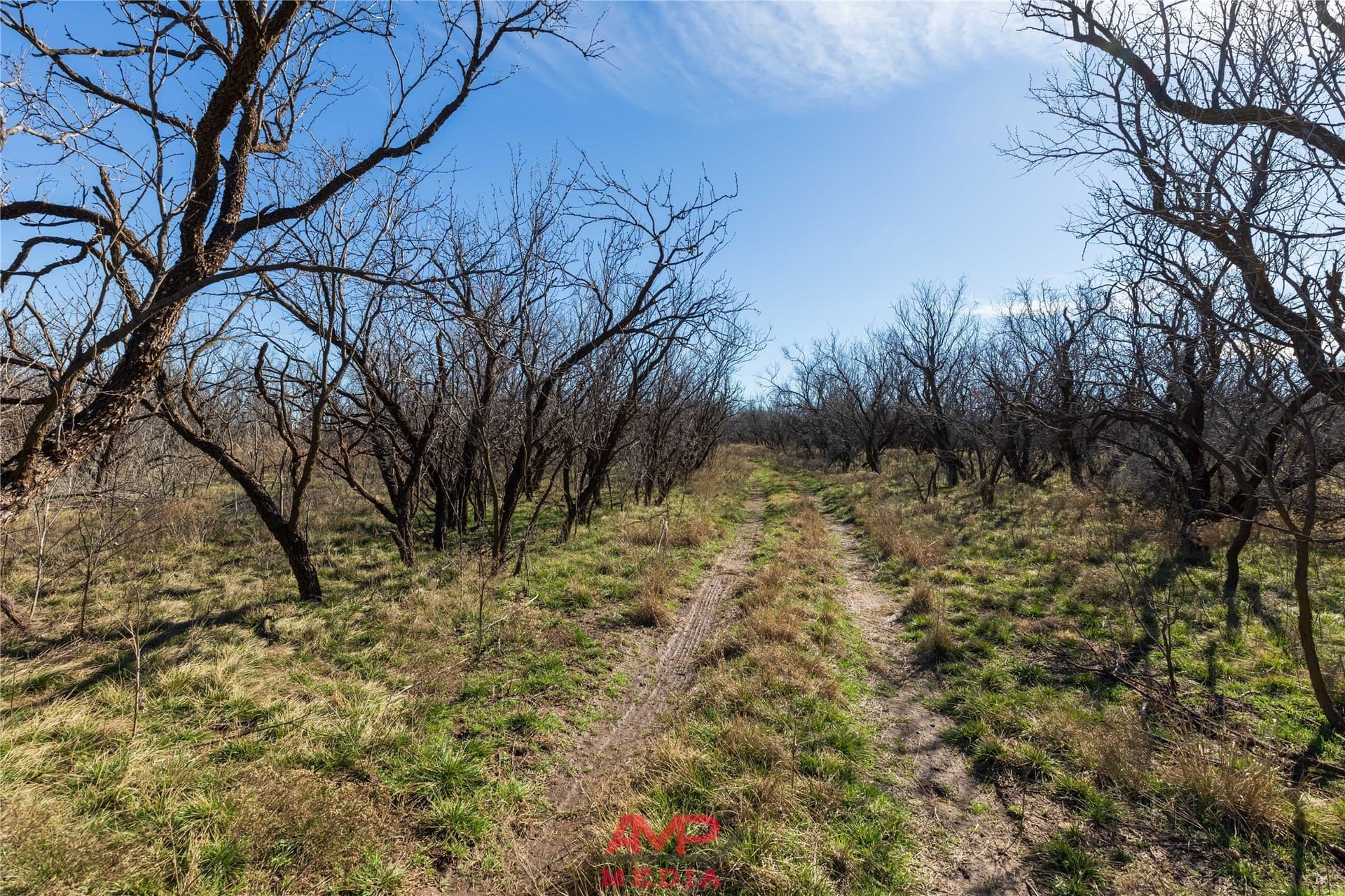 186.3 acres in Jones County - photo 2