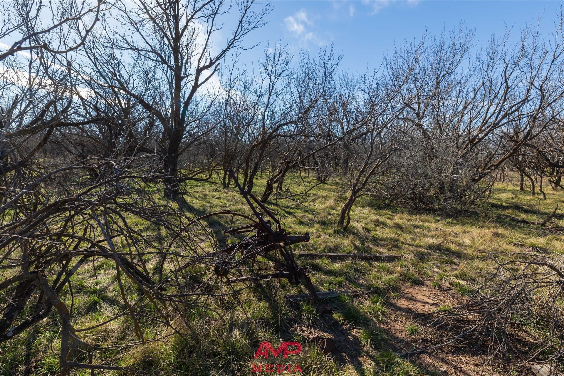 186.3 acres in Jones County - photo 16