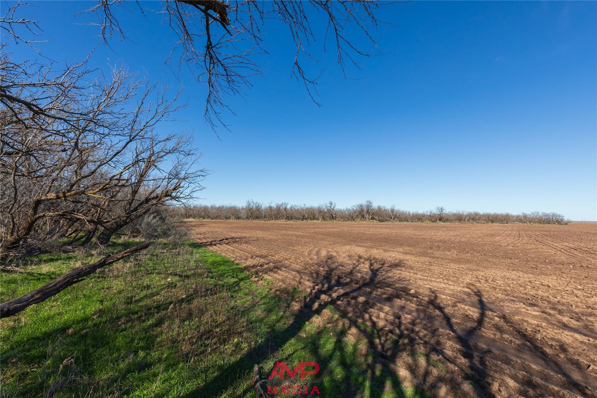 186.3 acres in Jones County - photo 13