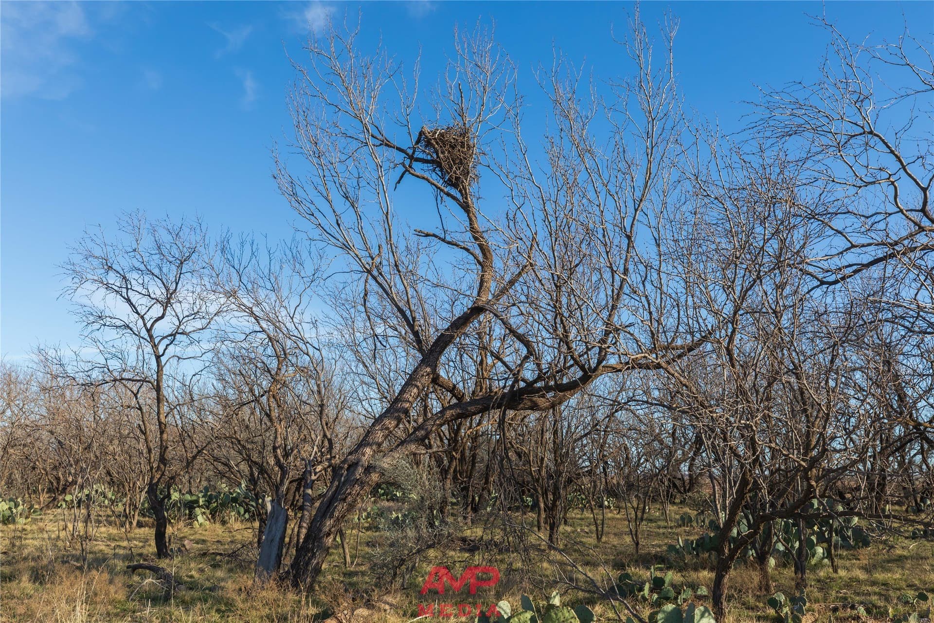 186.3 acres in Jones County - photo 36