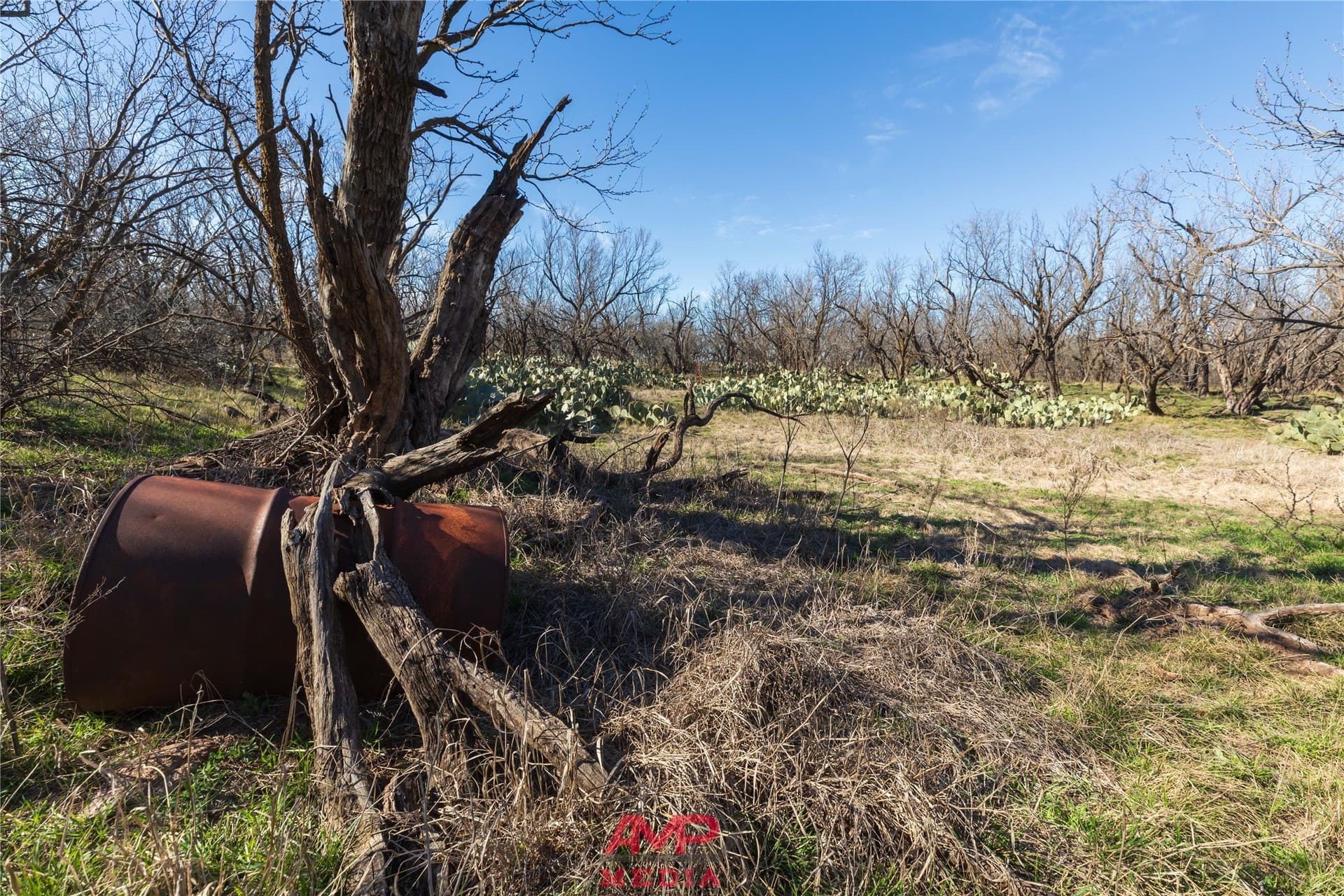 186.3 acres in Jones County - photo 19