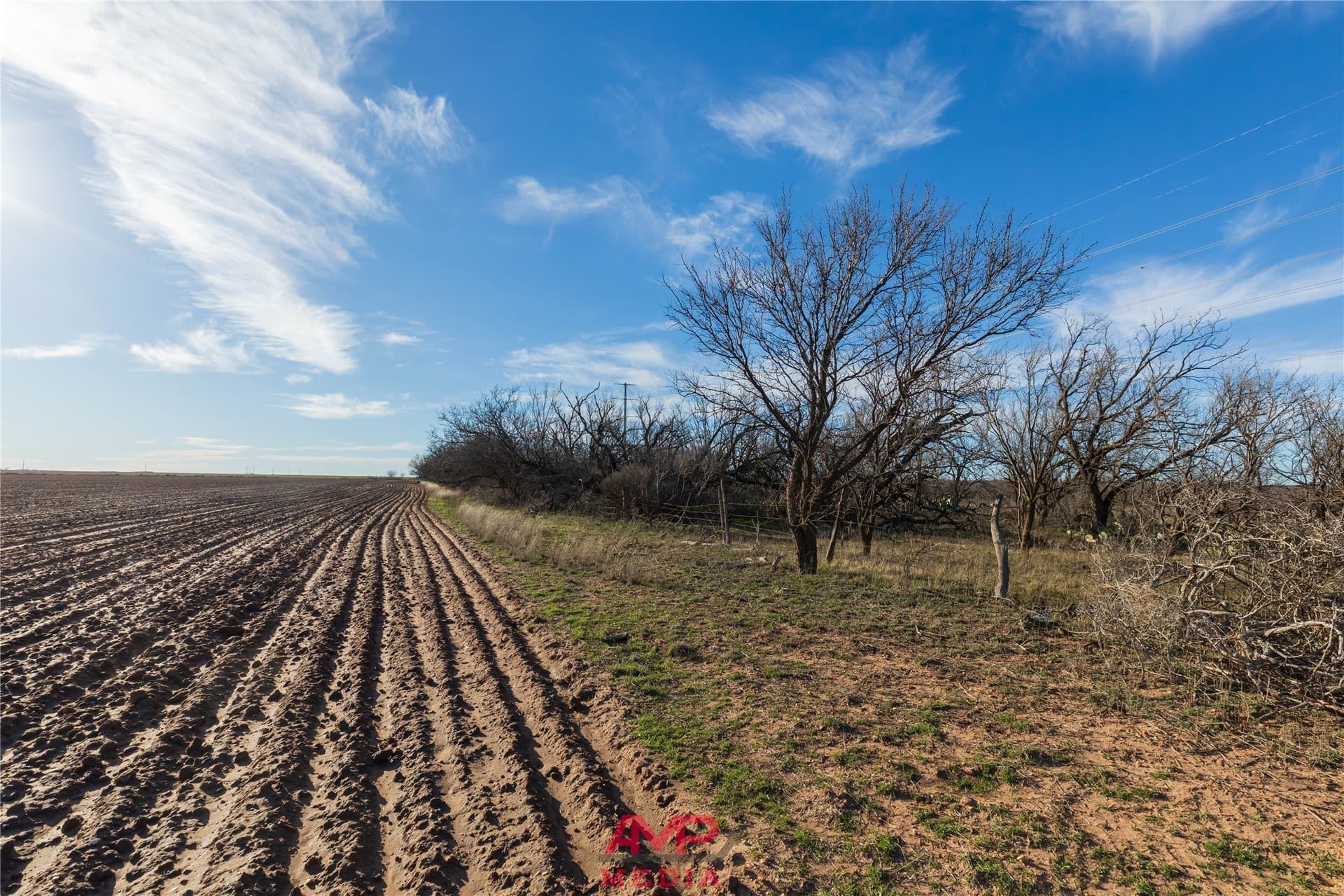 186.3 acres in Jones County - photo 37