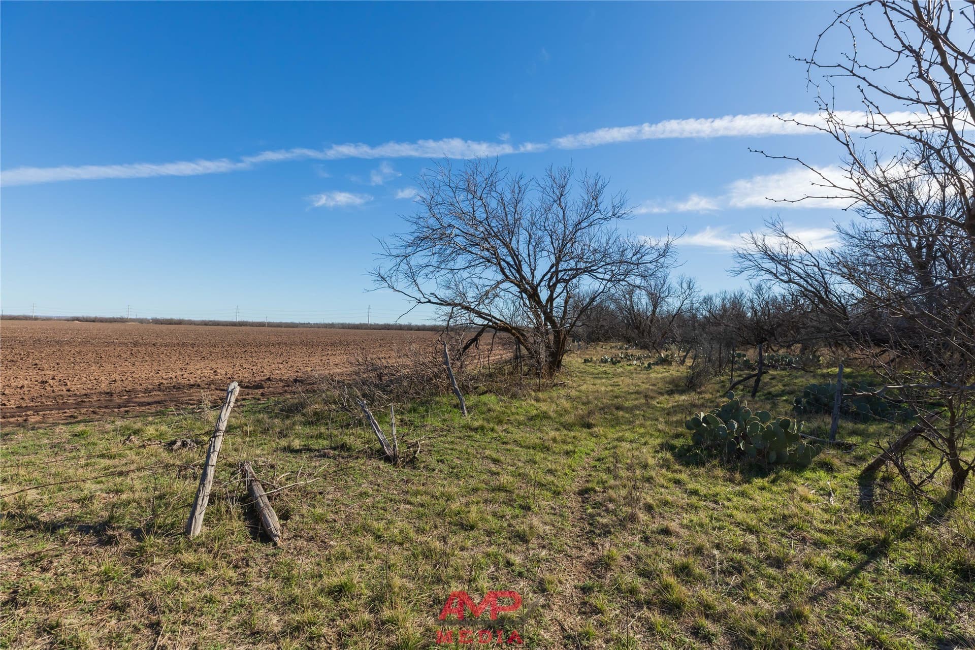 186.3 acres in Jones County - photo 20