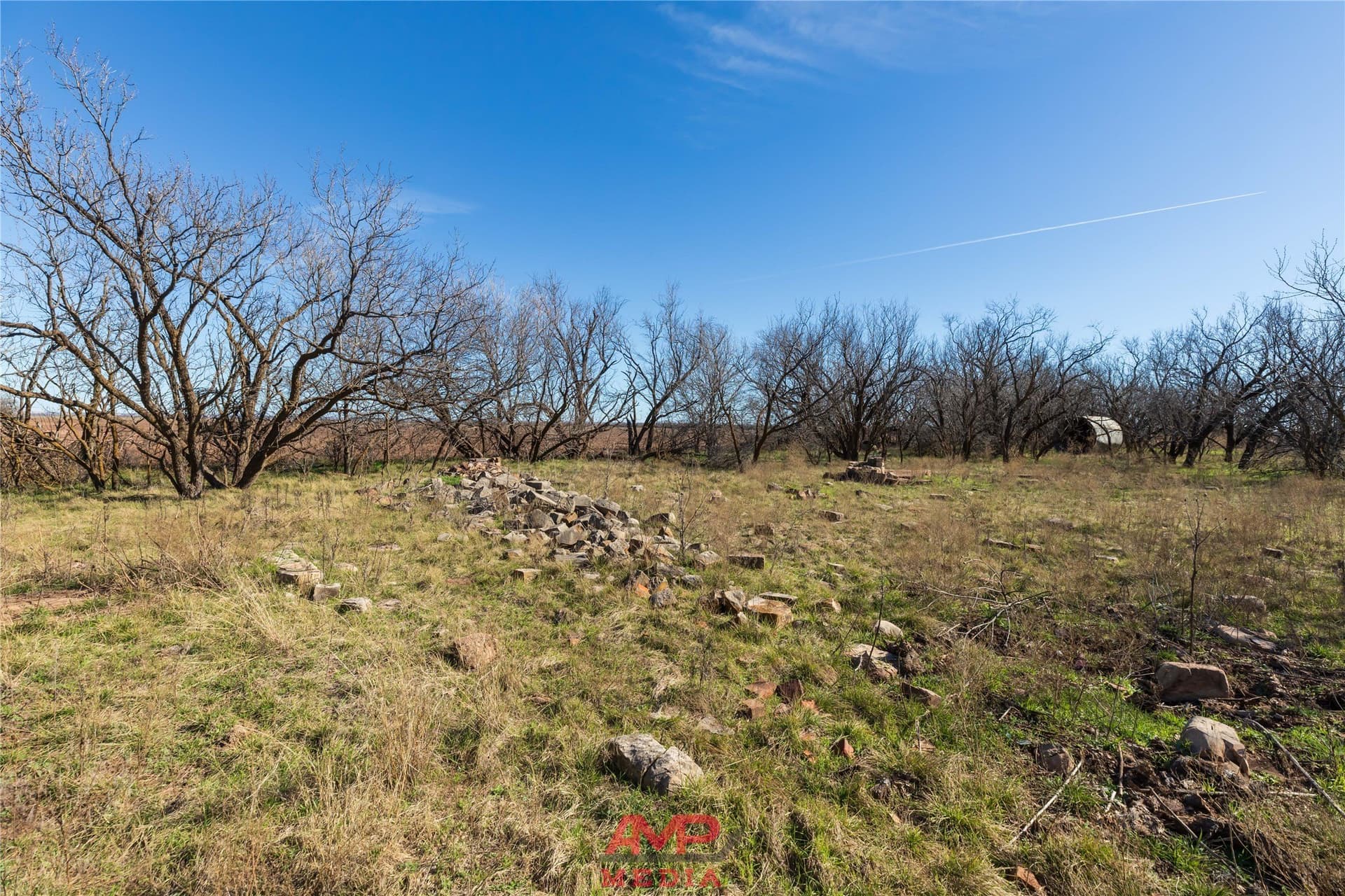 186.3 acres in Jones County - photo 3