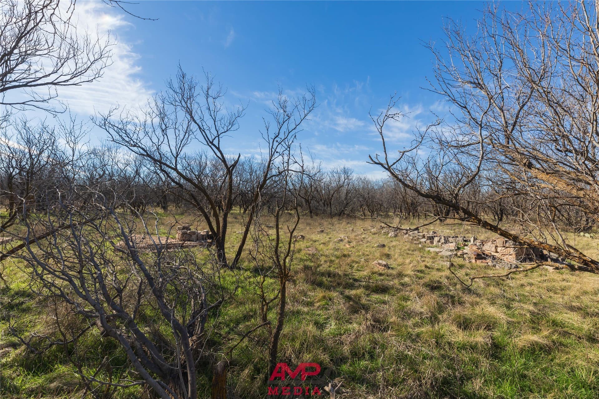 186.3 acres in Jones County - photo 22