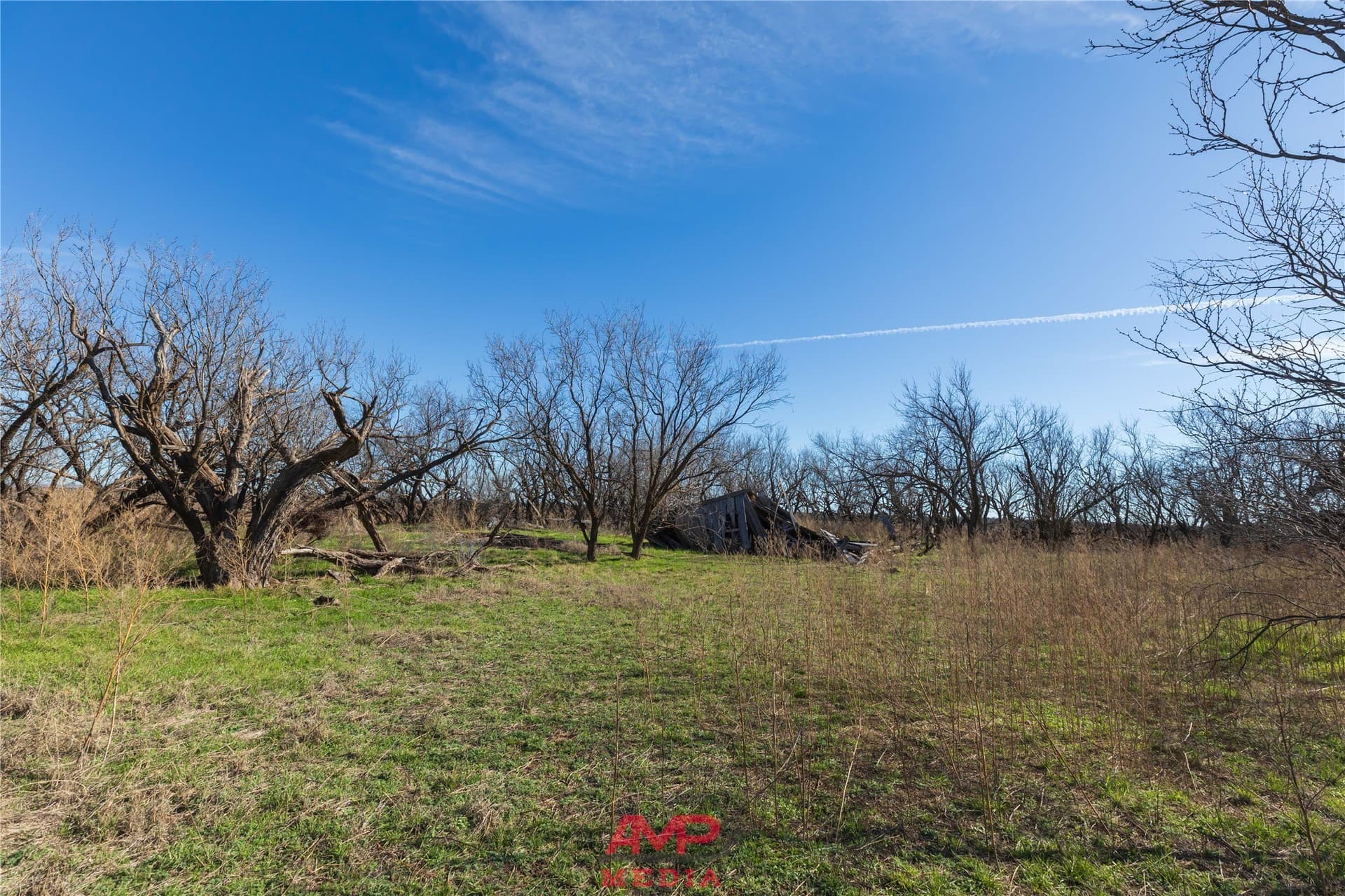 186.3 acres in Jones County - photo 12