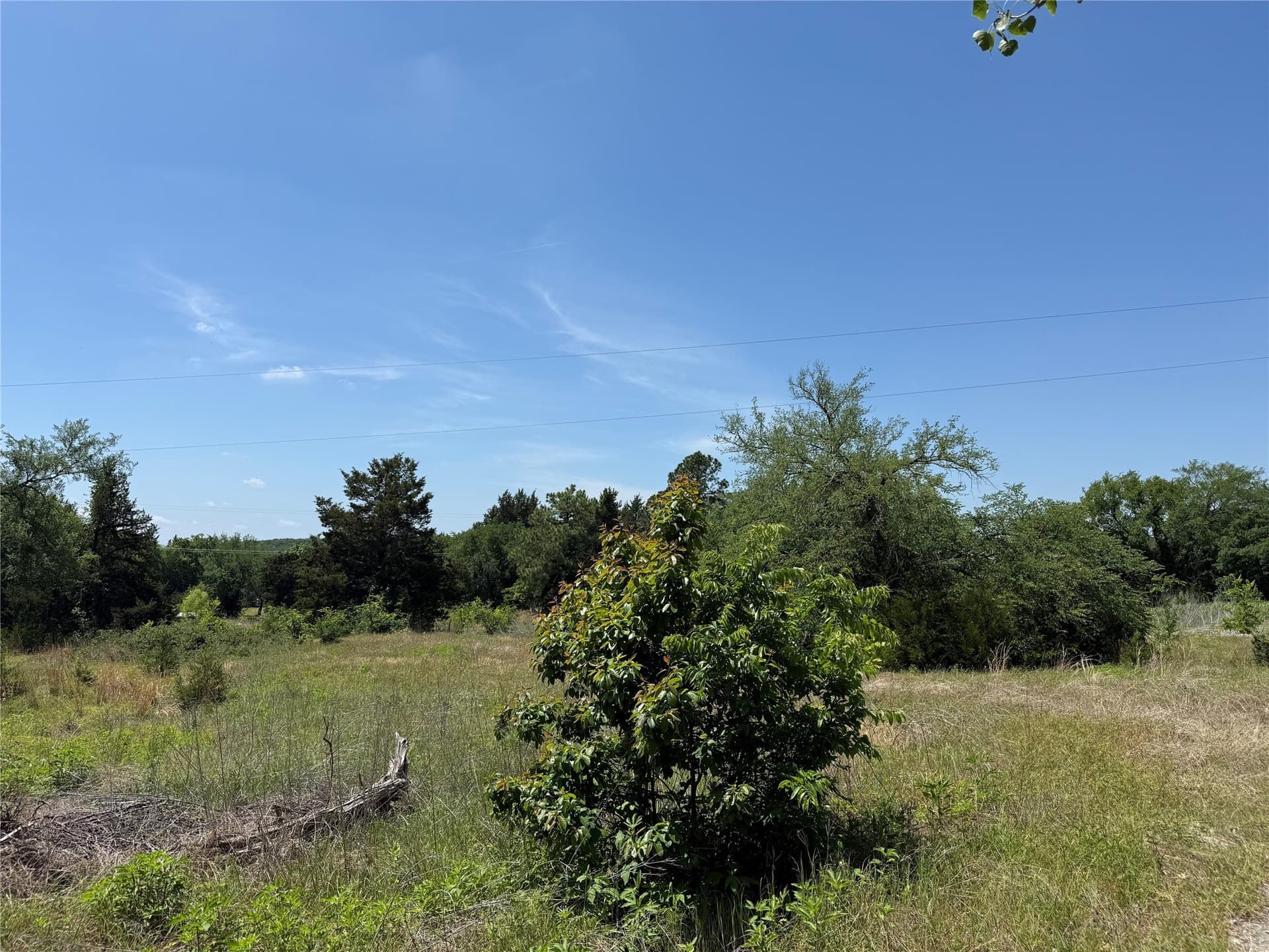 9.93 acres in Cooke County - photo 19