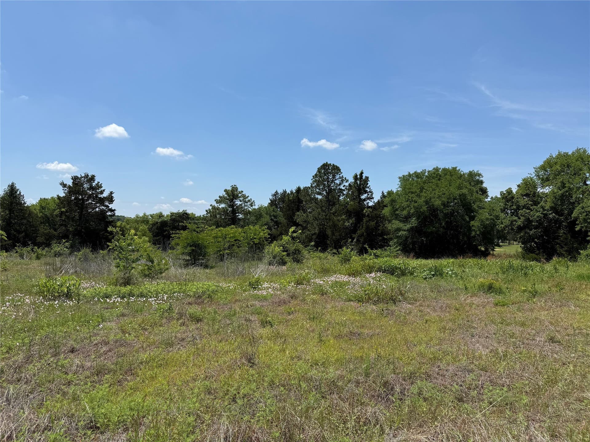 9.93 acres in Cooke County - photo 18