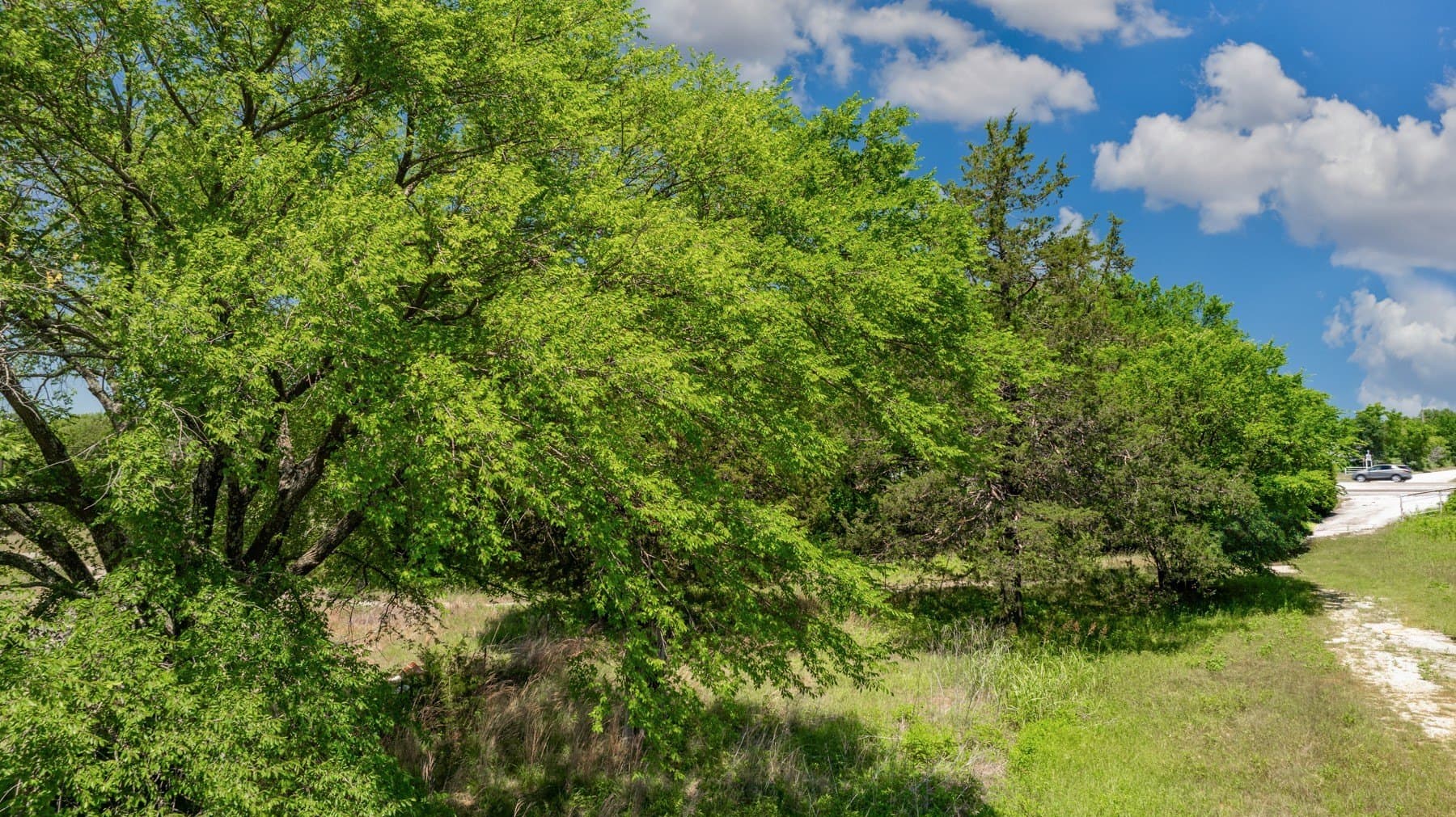 9.93 acres in Cooke County - photo 12