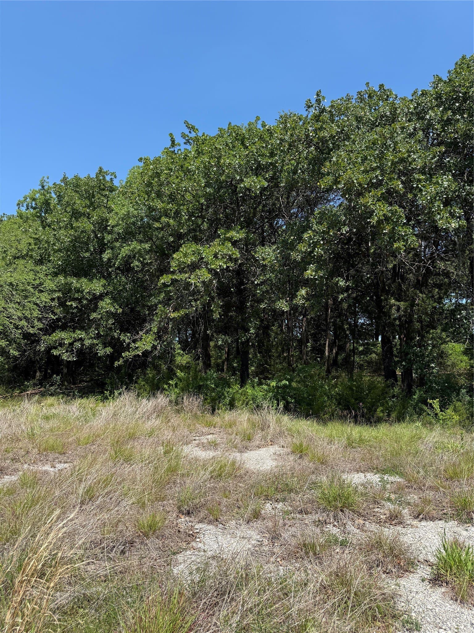 9.93 acres in Cooke County - photo 15