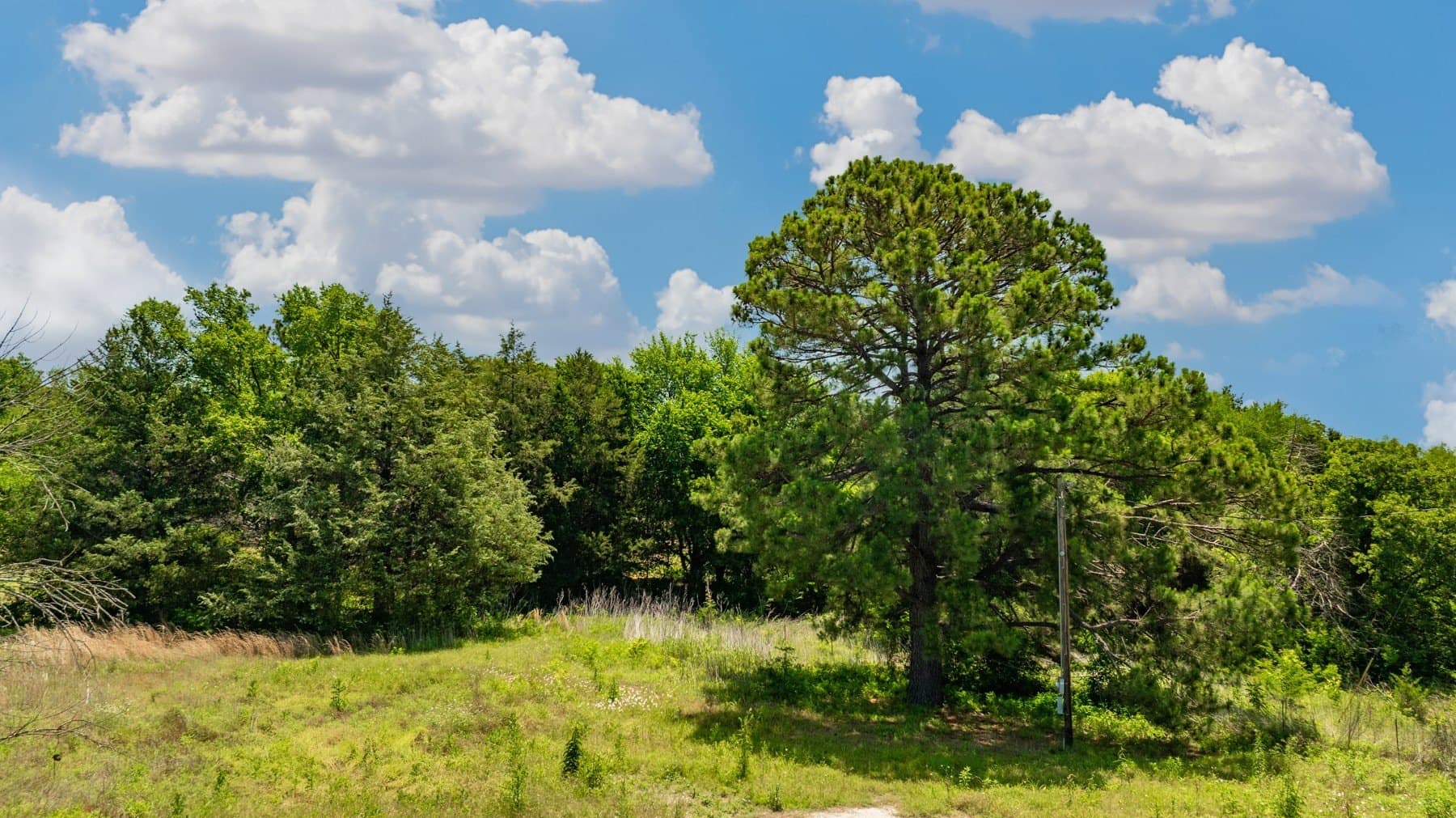 9.93 acres in Cooke County - photo 13