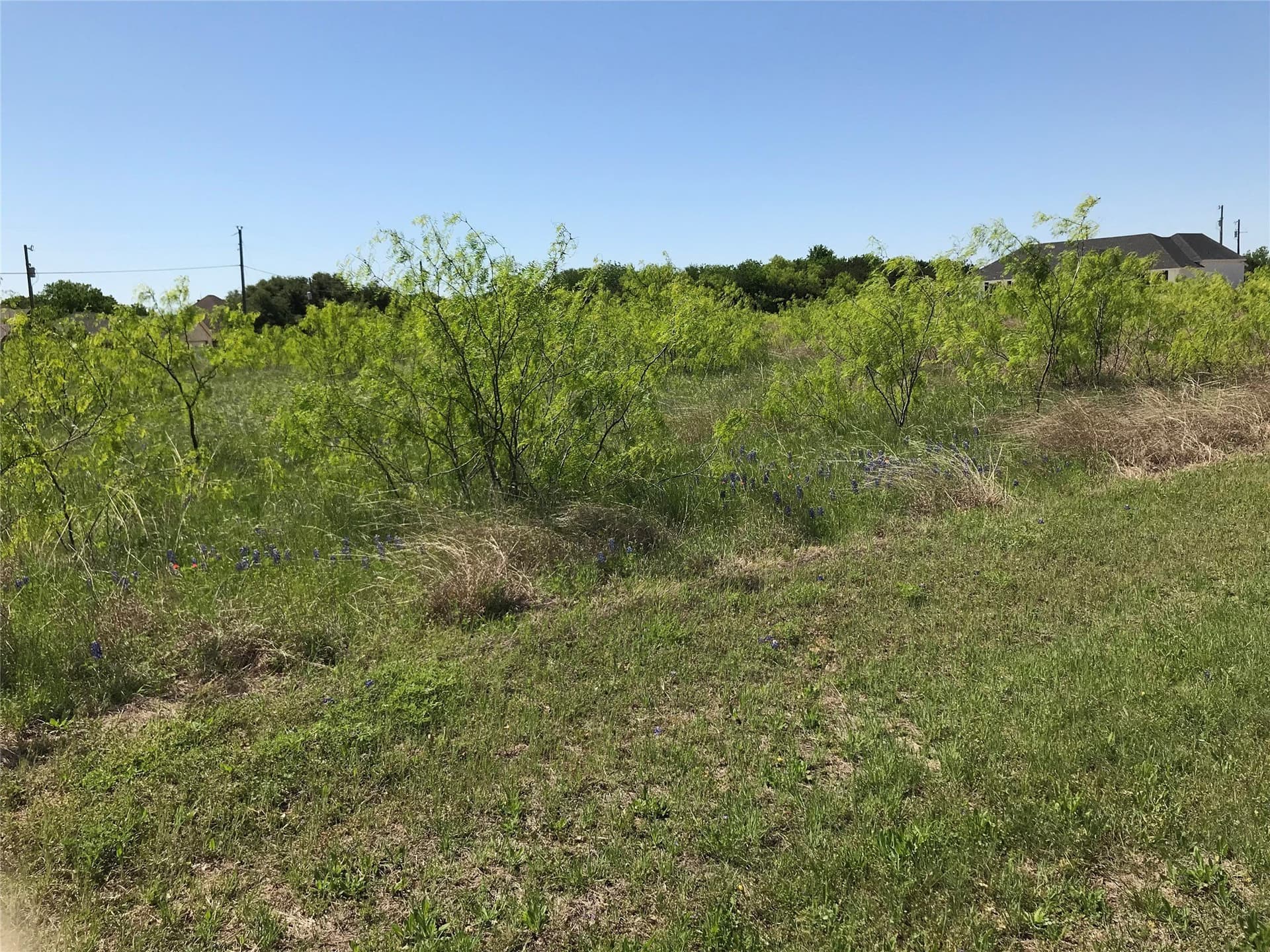 0.29 acres in Hill County gallery image 2