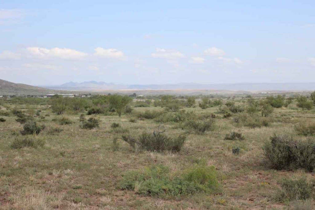 11.18 acres in Brewster County - photo 7