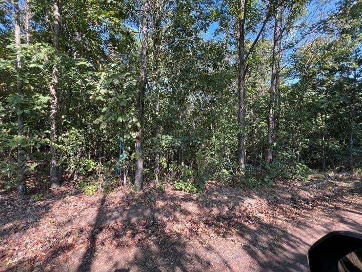 12 acres in Rusk County - photo 2