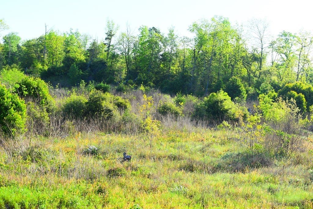 2.93 acres in Texas County featured view