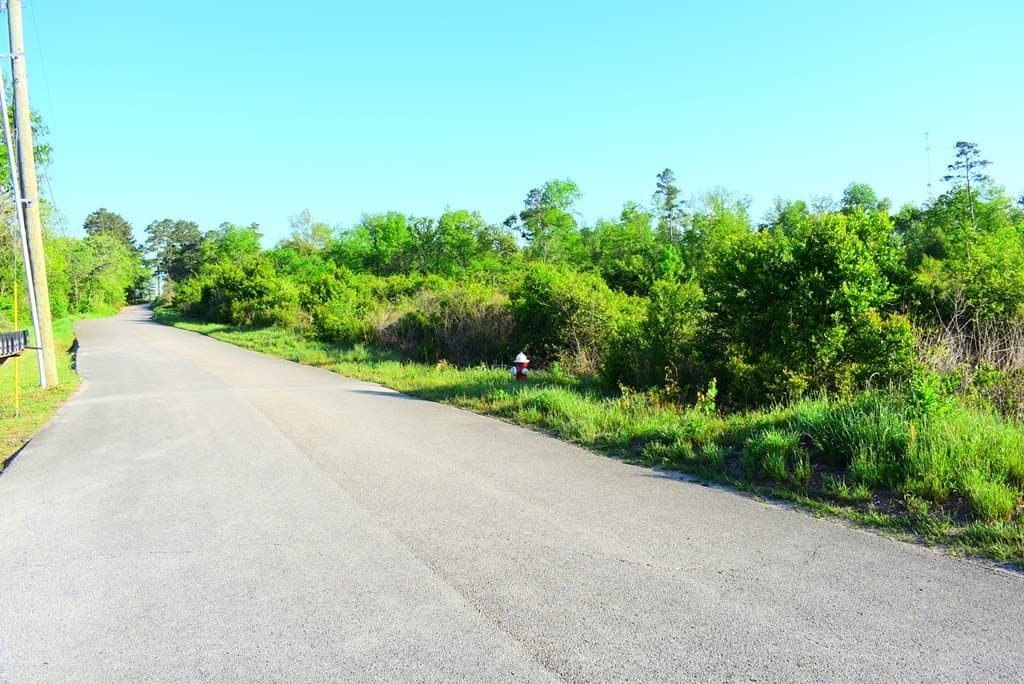 2.93 acres in Texas County gallery image 4