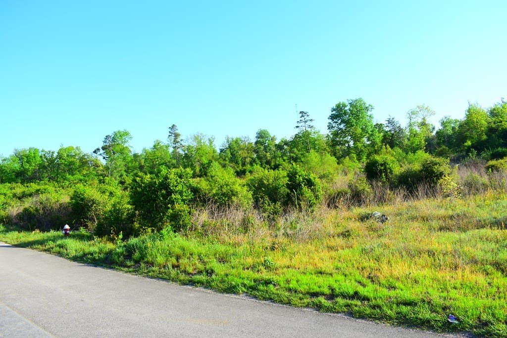 2.93 acres in Texas County gallery image 3
