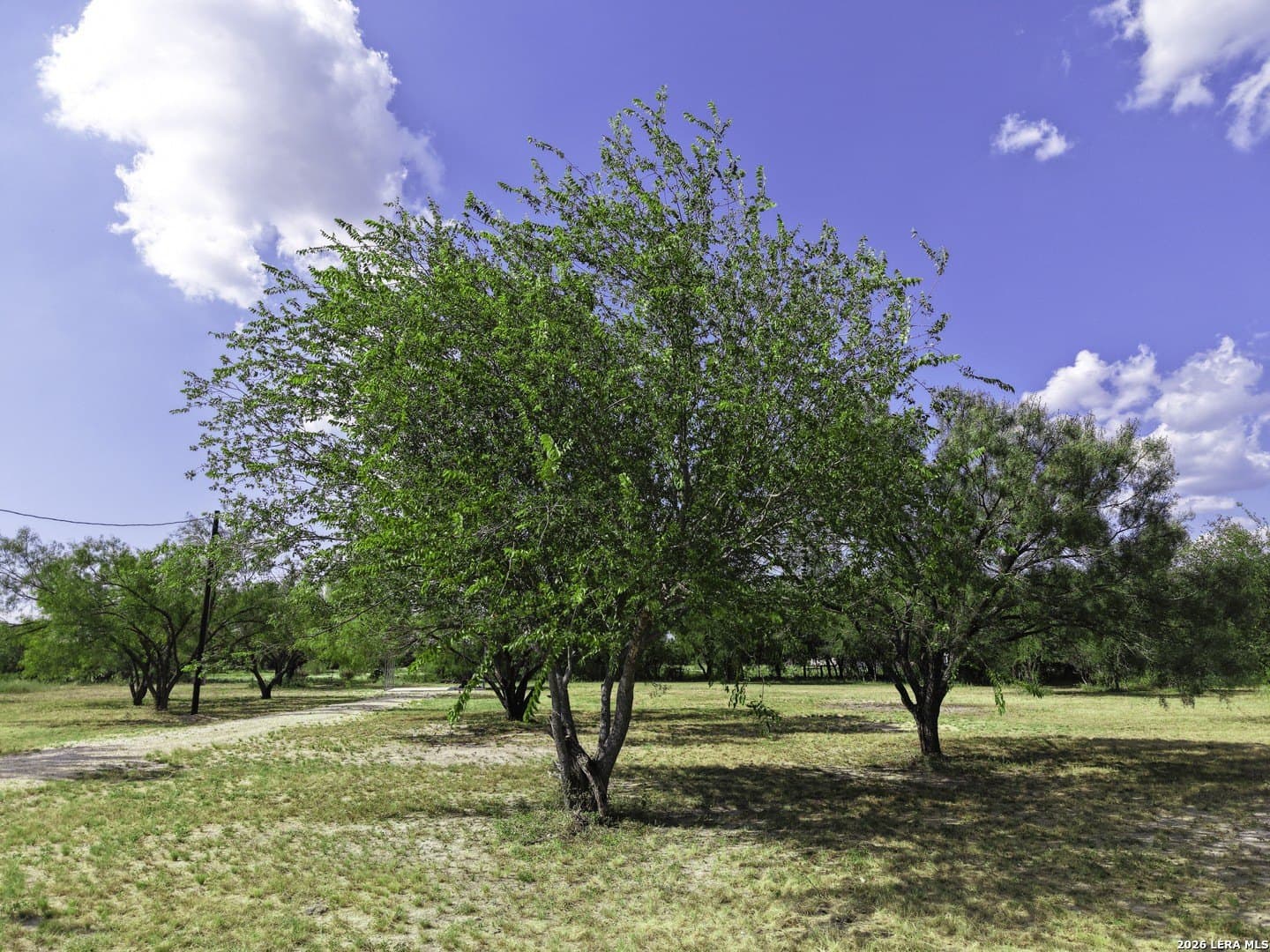 1.01 acres in Uvalde County - photo 6