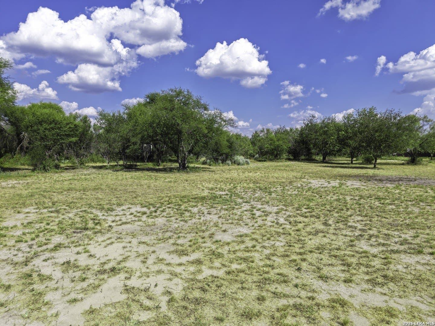 1.01 acres in Uvalde County - photo 4