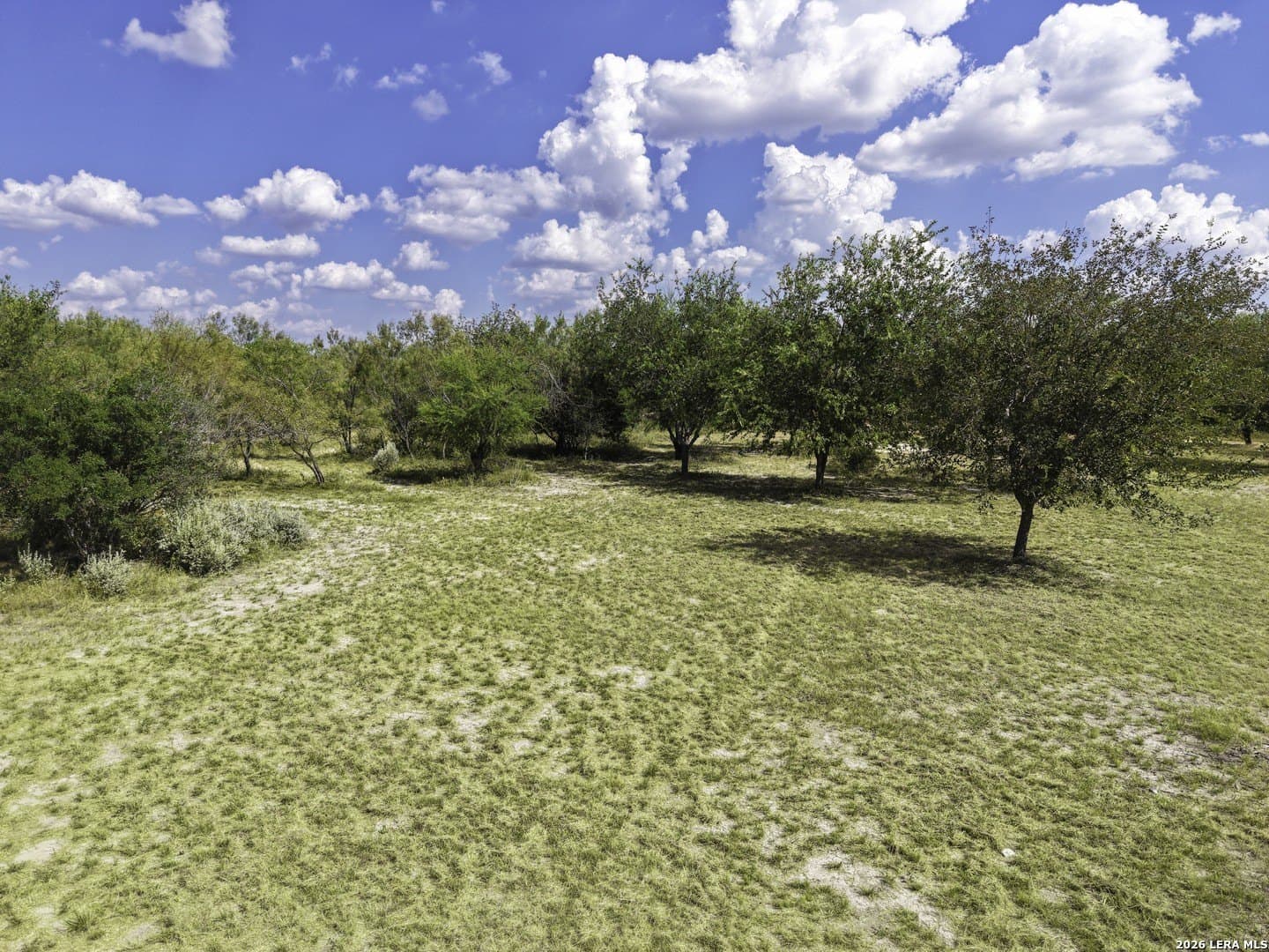 1.01 acres in Uvalde County - photo 3